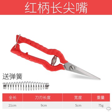 果樹家用果樹大枝葡萄花草修剪修理農友花木小型苗木剪刀刀頭果枝