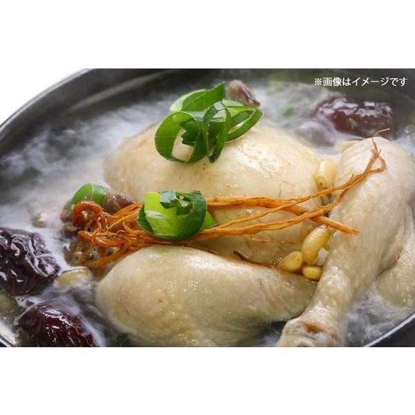 ファインサムゲタン　800g　参鶏湯　韓国サムゲタン　鶏肉