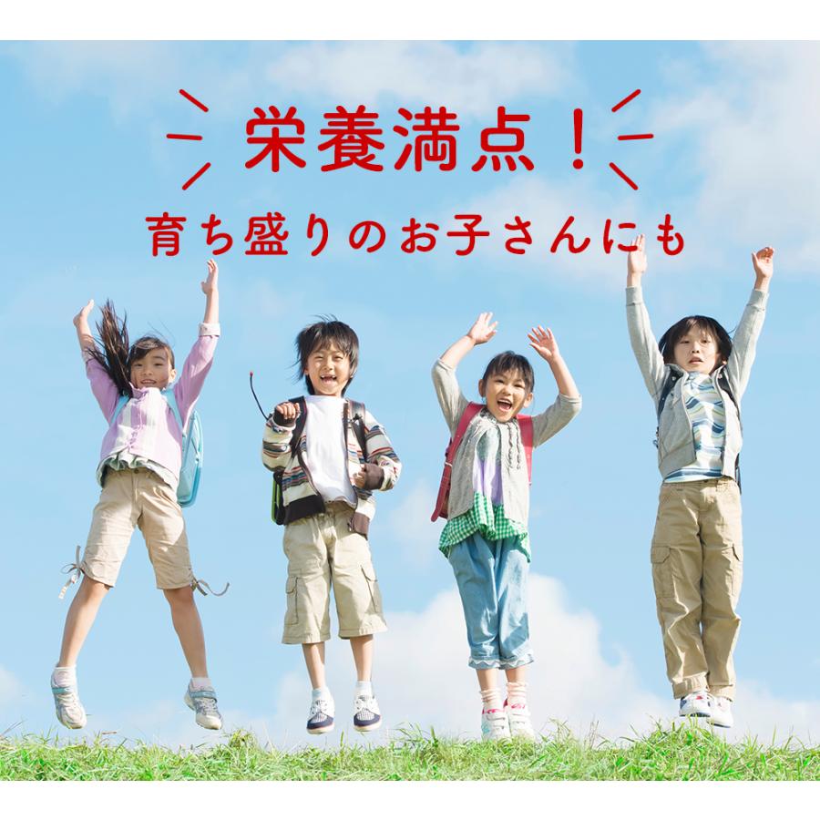 発芽玄米パウダー 100g入×2袋 無農薬・無肥料栽培米使用 本当にやさしい食べる発芽玄米粉 ネコポス便送料無料