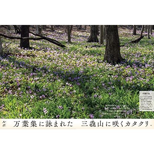 山と溪谷 2023年3月号 山と遭難