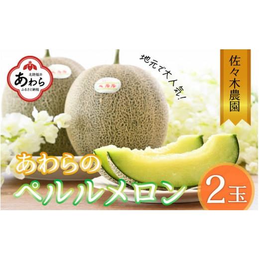 ふるさと納税 福井県 あわら市 ペルルメロン 3L 2玉入（1.7kg以上×2玉）糖度16度以上！／ 1株1果 大玉 青肉 メロン 果物 フルーツ ギフト 農家直…