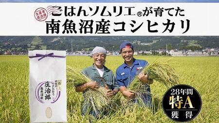 令和5年産 １kg ごはんソムリエの南魚沼産コシヒカリ『庄治郎』100%塩沢産