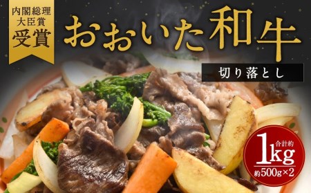 おおいた和牛 切り落とし 約500g×2P 計1kg ウデ モモ バラ