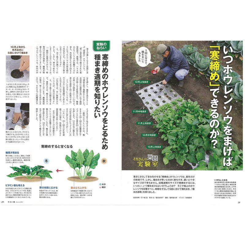 やさい畑 秋号 2021年 10月号