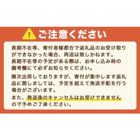 ふるさと納税 うまかっちゃん 合計30袋（5袋×6P）ラーメン とんこつラーメン とんこつ 袋ラーメン　TY022 福岡県宇美町