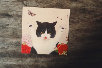 火紅熱情的超級抱抱。韓國藝術家혜진貓咪明信片