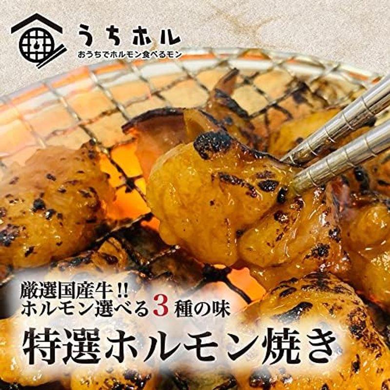 うちホル 国産牛 大トロホルモン 塩味 600g［焼肉 バーベキュー キャンプ お取り寄せ 通販 TOORO