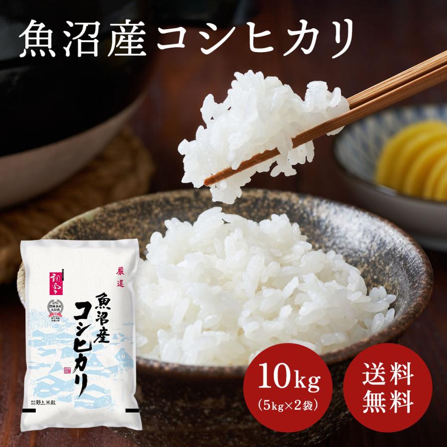 送料無料 令和５年産 魚沼産コシヒカリ 10kg(5kg×2袋) おこめ 精米