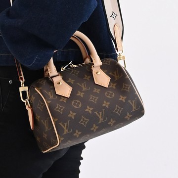 Louis Vuitton LV M46234 Speedy 20 經典花紋附背帶手提包