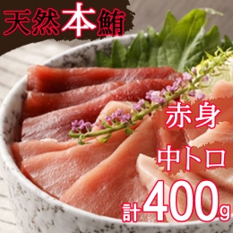 厳選天然本マグロ中トロ 赤身 食べきり セット ４００ｇ 本まぐろ 100% 冷凍 刺身 海鮮 丼