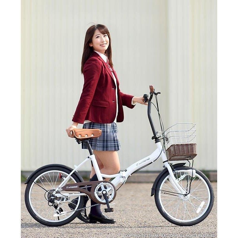 超美品[TAKEDA]LAND SCAPE(ランドスケープ) 20吋 折り畳み自転車 外装6