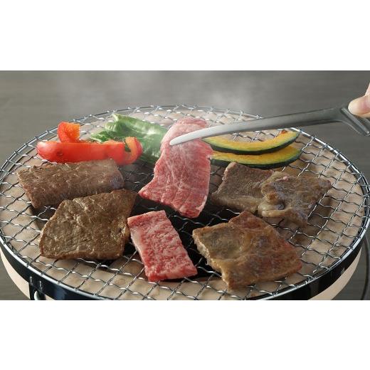 ふるさと納税 長崎県 時津町 長崎和牛 焼肉用 食べ比べ （ カルビ 300g ロース300g ） 約600g 和牛 焼肉