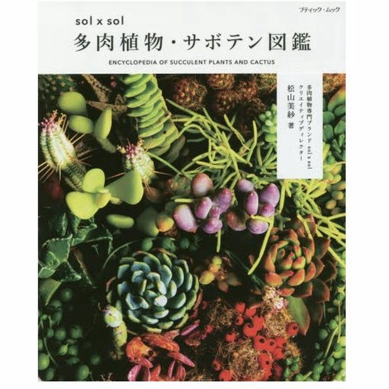 ｓｏｌ ｓｏｌ 多肉植物 サボテン図鑑 松山 美紗 著 通販 Lineポイント最大0 5 Get Lineショッピング