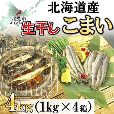 ふるさと納税 北見市 北海道産 生干しこまい(1kg×4箱セット)