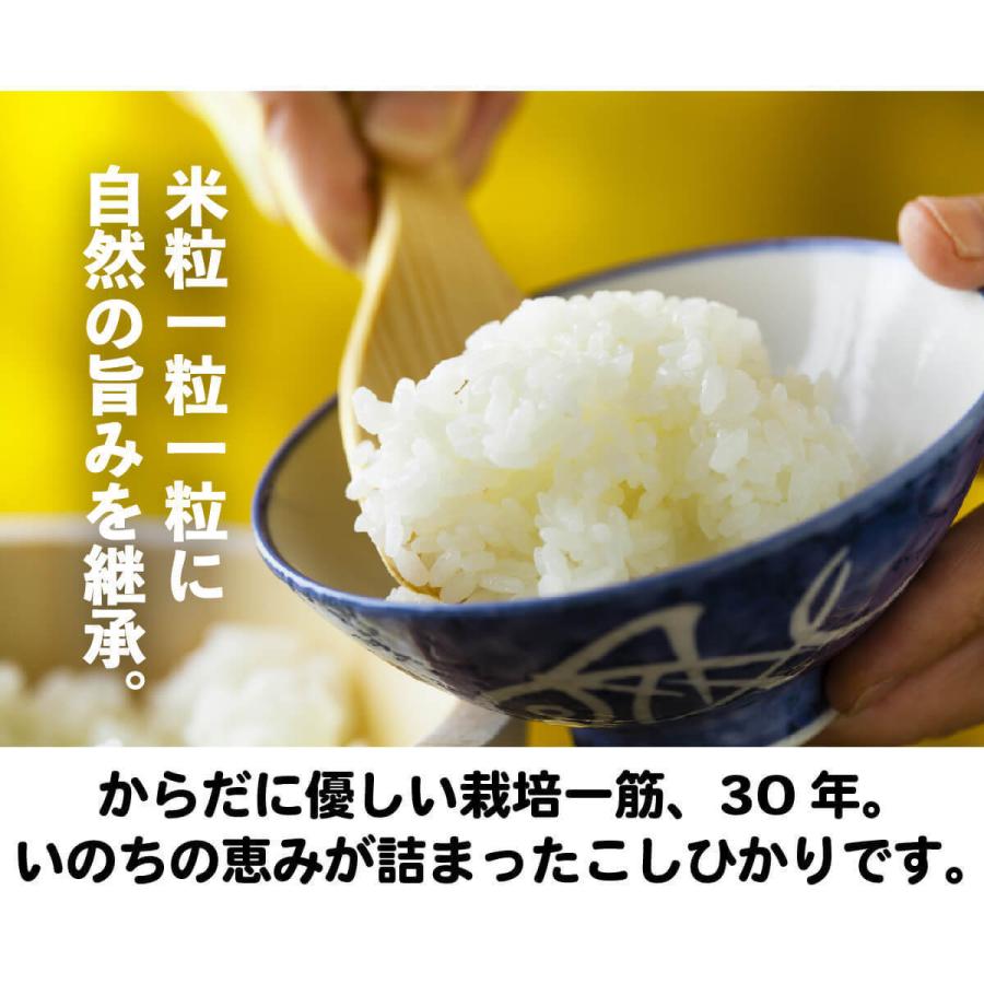 令和5年産 新米 新潟 コシヒカリ 5kg  送料無料 (沖縄 九州 北海道除く) 有機肥料 産地直送 産直 農家直送 おいしい 安心 発送日当日精米 天屋商店