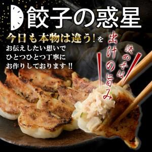 ふるさと納税 餃子の惑星のピリ辛れんこん餃子(合計72個) 大阪府箕面市