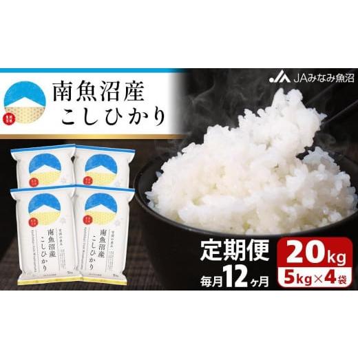 ふるさと納税 新潟県 南魚沼市 南魚沼産こしひかり（20kg×全12回）