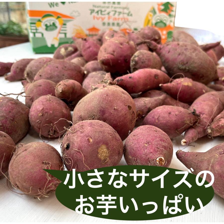 さつまいもおやつサイズ 約２kg  無農薬・無化学肥料栽培 　極甘蜜芋 　送料無料