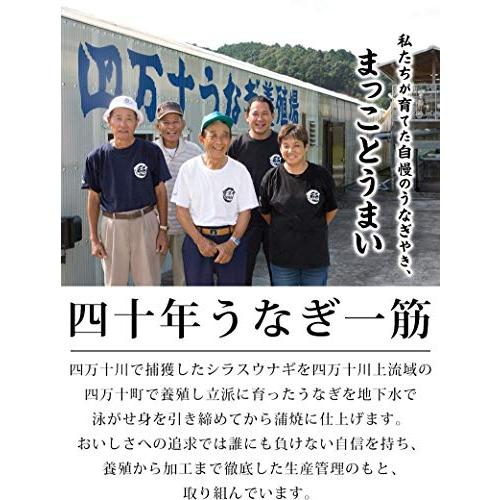 四万十 うなぎ 国産 蒲焼き 特大 200g×2尾 セット ギフト