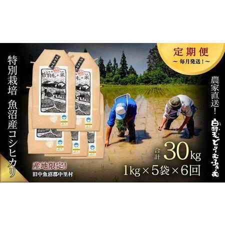 ふるさと納税 ≪令和5年産≫農家直送！魚沼産コシヒカリ特別栽培「白羽毛の米」精米5kg(1kg×5袋)×6回.. 新潟県十日町市