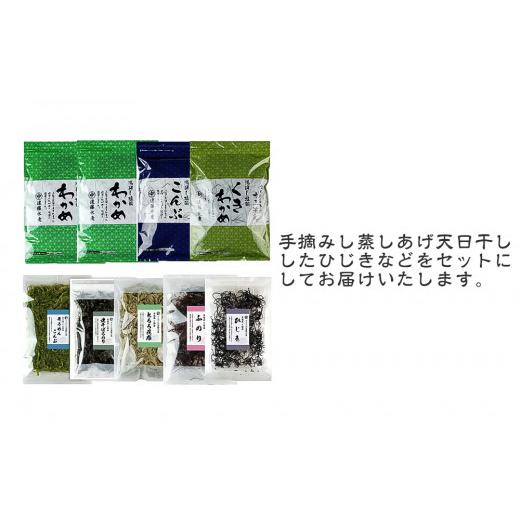 ふるさと納税 宮城県 石巻市 石巻 十三浜マルナカ遠藤水産の海藻たっぷりセット