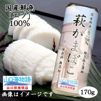 ふるさと納税 山口県 エソ100%「萩かまぼこ」さしみ竹輪「萩漁火」の詰合せ