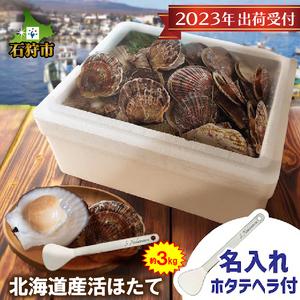 ふるさと納税 14-042 北海道産活ほたて3kg   オリジナル名入れ剥きへら付き 北海道石狩市