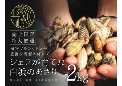 令和6年2月出荷 先行予約 シェフが育てた白浜の活あさり2kg