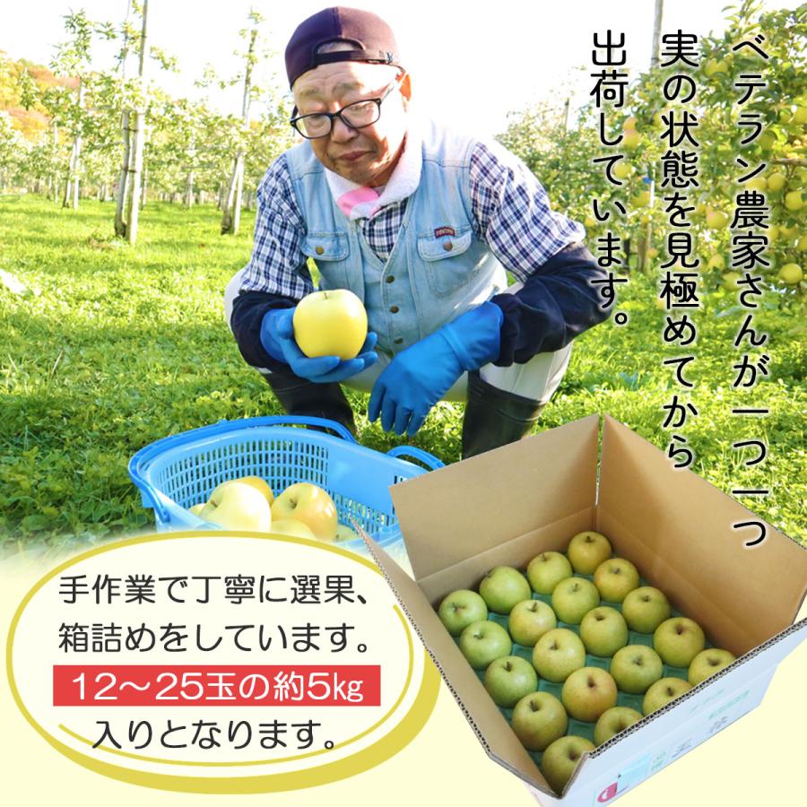 りんご 王林 5ｋｇ（約12玉〜25玉）2023年産 青森県産りんご ご家庭用 訳あり 産地直送 工藤農園