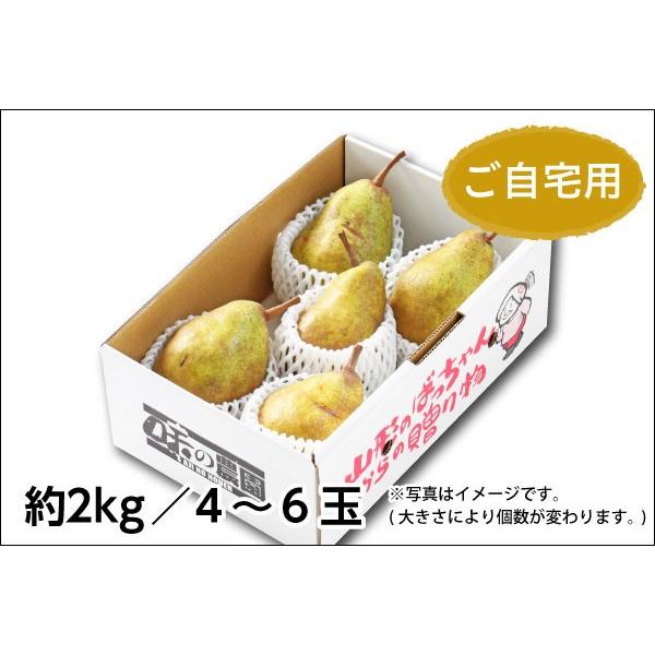 ご自宅用シルバーベル  約2kg（07-Z）