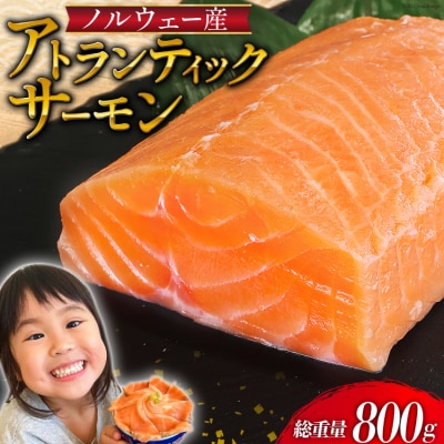 ノルウェー産 アトランティックサーモン 総重量800g(正味重量680g) [20562809]