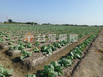 二林中科方正角地｜彰化縣二林鎮西庄段