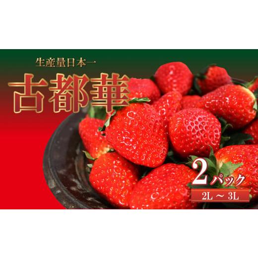 ふるさと納税 奈良県 平群町 平群の古都華 2L 〜 3L サイズ （2パック×1ケース） 2024年3月発送