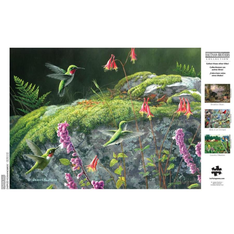 Buffalo Games - Hautman Brothers - Birds in an Orchard - 1000 Piece Jigsaw  Puzzle