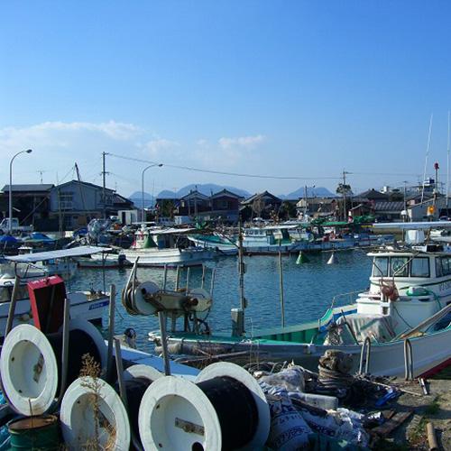 国東半島近海で獲れた新鮮な鱧を使用 はもの皮巻 1本×3 林田食品 送料無料