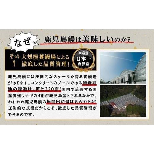 ふるさと納税 鹿児島県 大崎町 うなぎ 蒲焼 150g以上×3尾 鹿児島産 地下水で育てた絶品 鰻