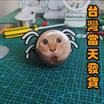 【桃園出貨】蜘蛛圓頭貓咪 哈基米蜘蛛貓 3d列印蜘蛛貓 螃蟹貓 耄耋蜘蛛貓咪 爬行蜘蛛貓 蜘蛛貓機器人 爬行貓 發條玩具