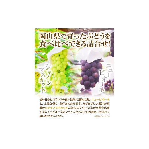 ふるさと納税 岡山県 浅口市 シャインマスカット 1房 ニューピオーネ 1房 詰合せ 各 480g ウィズフラワーホールディングス《9月上旬-10月中…