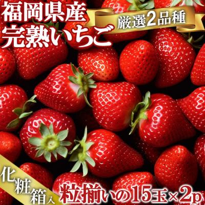 ふるさと納税 小郡市 いただきいちご園の食べ比べ 厳選2品種 粒ぞろいの15玉入り