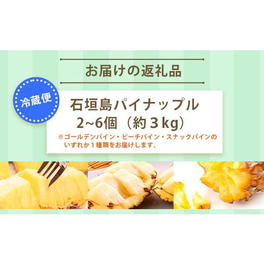 ふるさと納税 沖縄県 石垣市  石垣島産パイナップル　2〜6個　約3kg【ふるさと納税 パイナップル 産地直送 フルーツ 果物 沖縄県石垣市 石垣 沖縄 石垣市 石垣…