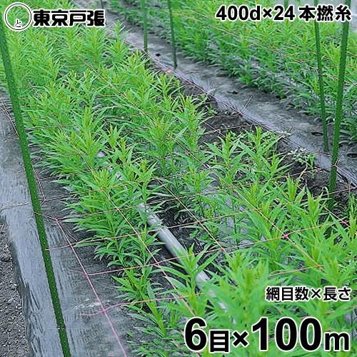 フラワーネット 400d×24本・撚糸 6目×長さ100m