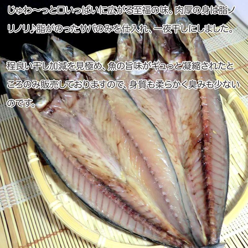 サバ開き 5枚 ふっくらジューシー鯖 さば 一夜干し さば開き 干物 サバ 開き魚 肴 乾物 簡単調理 贈答 お歳暮 お正月