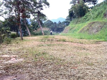 【獨家】橫山油羅農地｜有路、安靜、大平台｜新竹縣橫山鄉油羅