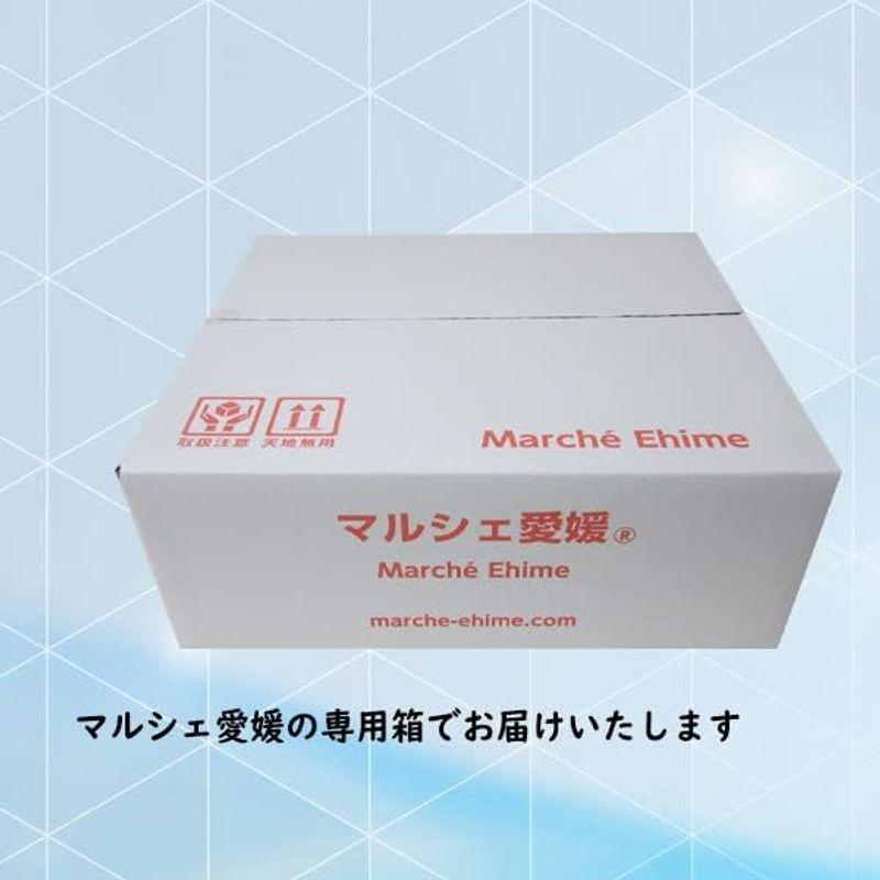 伊予のみそ汁 むぎ 3食入 10袋 四国 愛媛の甘い味噌汁