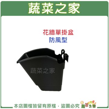 【蔬菜之家】花牆單掛盆(防風型)(單入、100/組)