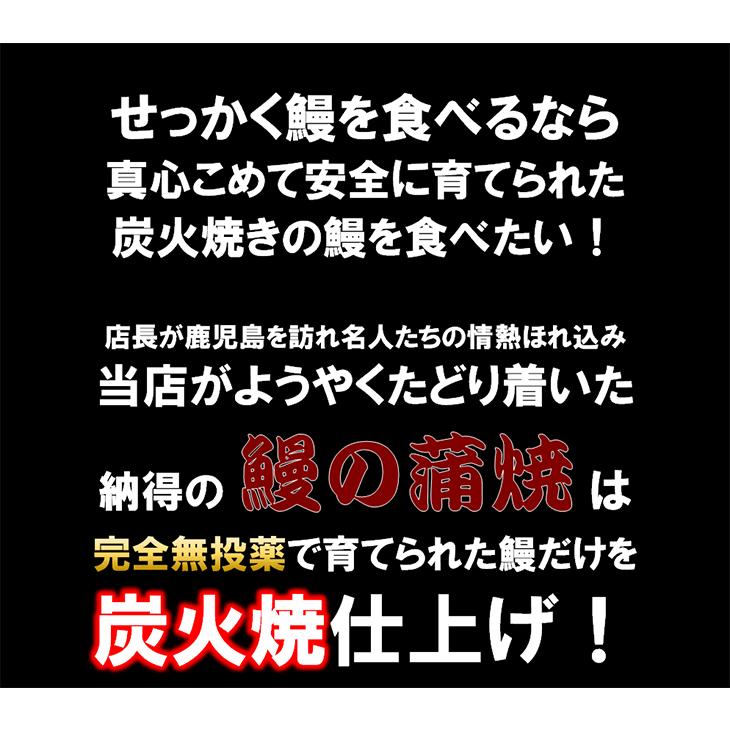 無投薬で育てた国産鰻がギフト箱に長焼120gサイズ x 3本入り！鹿児島産 鰻の蒲焼 うなぎ ウナギ 土用丑の日 父の日 母の日