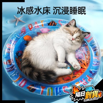 【現貨⚡ 隔日達】寵物冰窩 夏日寵物窩 貓窩狗窩 大尺寸冰墊 趣味降溫 注水冰窩 防滑防抓 貓狗通用可愛冰墊