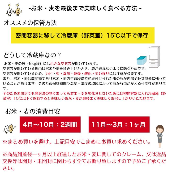 新米 令和5年産 岡山県産 コシヒカリ 10kg  白米 食品 国産 送料無料 ※北海道・沖縄の方は別途送料加算