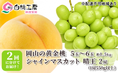 桃 ぶどう 2024年 先行予約 黄金桃 1.5kg シャインマスカット 晴王 2房 1房550g以上 2回に分けてお届け！もも 葡萄 定期便 岡山 国産 フルーツ 果物 ギフト 桃茂実苑