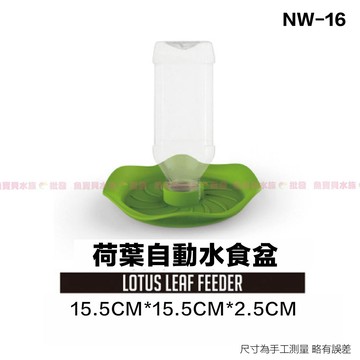 魚寶貝【爬寵🔥荷葉自動水食盆】角蛙屋 烏龜洞 烏龜躲避屋 躲避洞 烏龜 陸龜 角蛙 守宮 爬蟲 蜥蜴